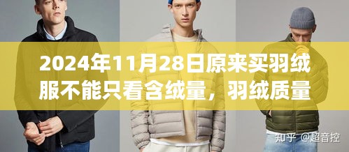 超越含絨量，羽絨服質量與時尚設計的選擇之道（2024年視角）