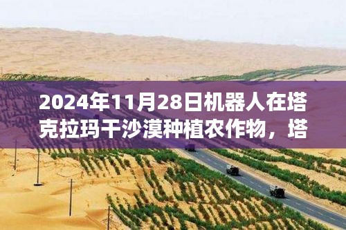 塔克拉瑪干沙漠機器人農(nóng)業(yè)革命，種植挑戰(zhàn)與未來展望（2024年）
