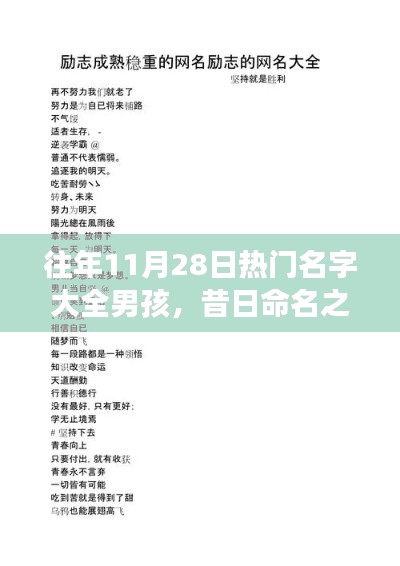 歷年11月28日熱門男孩名字背后的勵志故事與成長之光