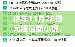 往年11月28日元媛最新小說詳解與閱讀攻略，輕松引領你進入學習之旅