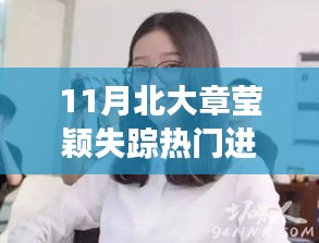 北大校花章瑩穎失蹤案十一月最新進展揭秘與分析