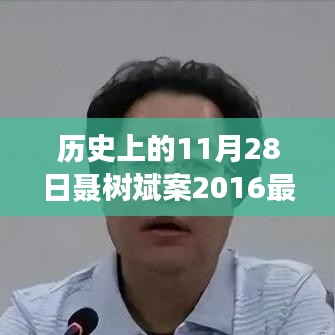 科技重塑正義，聶樹斌案最新進展揭秘與歷史時刻回顧