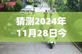 時光深處的壽星，探尋小巷歲月秘寶，預測明日壽星年齡之最