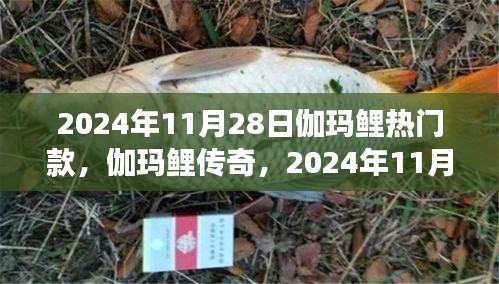 揭秘伽瑪鯉傳奇，熱門款背后的故事與深遠影響