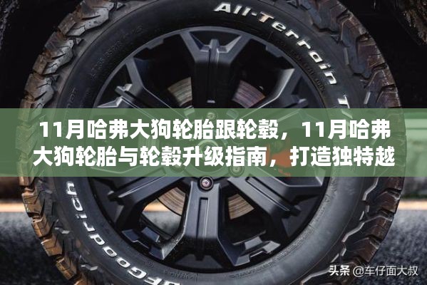 11月哈弗大狗輪胎與輪轂升級指南，塑造獨特越野風采