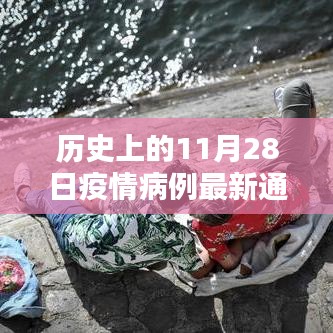 歷史上的11月28日疫情病例最新通報，積極應對與潛在挑戰分析