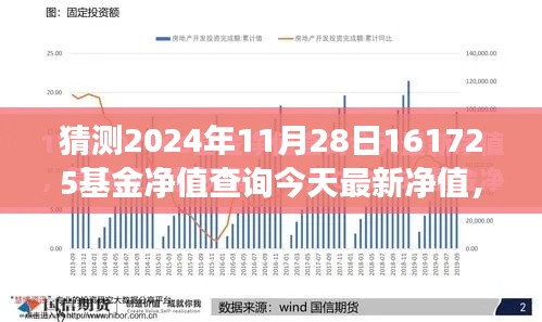 探尋自然秘境之旅，啟程對話心靈，預測基金凈值的小插曲——最新凈值查詢與預測分析（XXXX年XX月XX日）