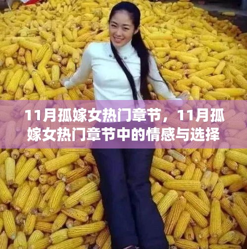 深度解析與觀點闡述，11月孤嫁女熱門章節中的情感與選擇之路