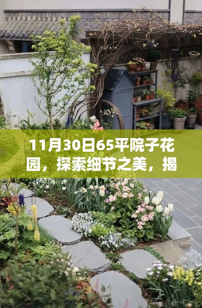 揭秘，11月30日65平院子花園的獨特魅力與細節之美探索
