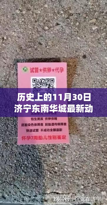 探尋濟寧東南華城自然美景的心靈之旅，歷史上的11月30日最新動態回顧