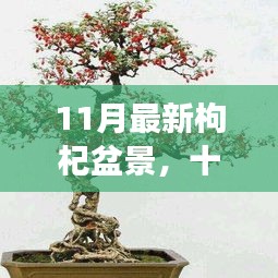 十一月枸杞盆景新篇章，背景、事件與深度影響解讀