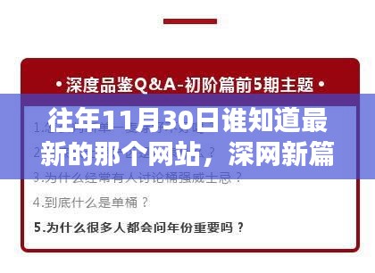 揭秘深網新篇，十一月三十日時代印記網站回顧