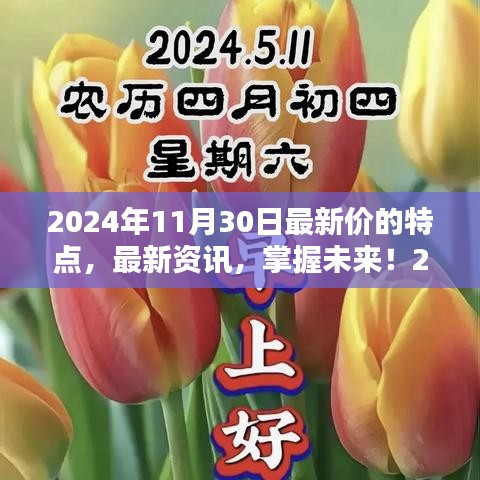 掌握未來！2024年11月30日最新價特點(diǎn)與獲取指南