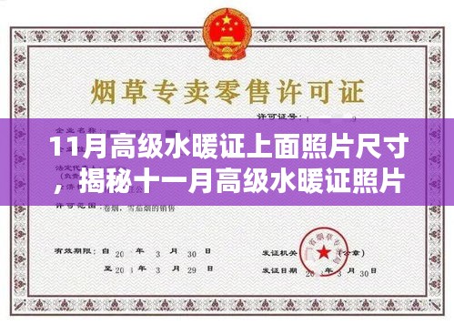 揭秘十一月高級水暖證照片尺寸要求，專業(yè)指南來自小紅書
