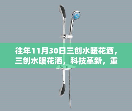 2024年11月 第28頁