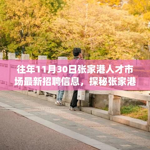 探秘張家港人才市場，最新招聘信息與小巷深處的獨特小店揭秘