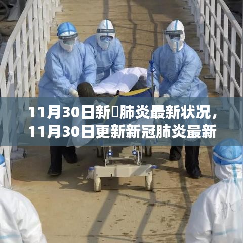11月30日新冠肺炎最新動態解析，全面洞悉疫情現狀