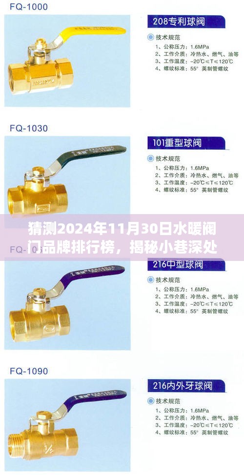 揭秘未來水暖閥門品牌排行榜，小巷深處的隱藏寶藏與未來之星預測（2024年11月30日）