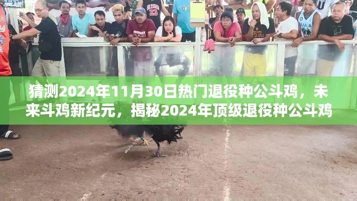 揭秘未來斗雞新紀元，頂級種公斗雞智能系統展望與超凡體驗預測（2024年）