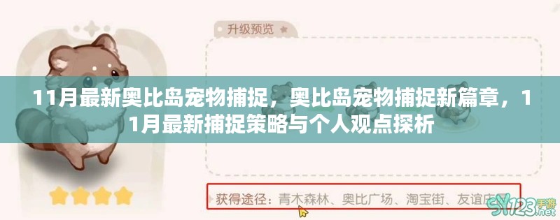 2024年11月30日 第13頁