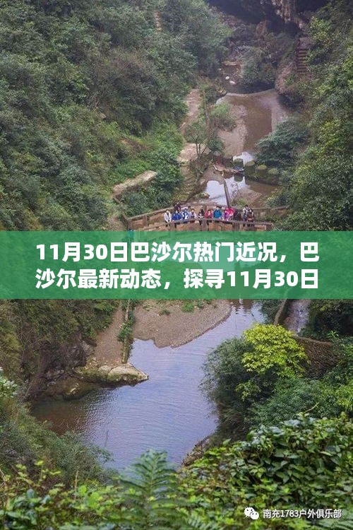 巴沙爾最新動態與熱門話題深度解析，11月30日更新