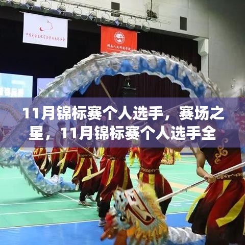 賽場之星，全面測評與介紹十一月錦標賽個人選手風采