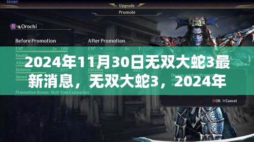 無雙大蛇3最新消息，2024年動態及深遠影響揭秘