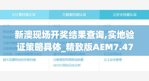 新澳現場開獎結果查詢,實地驗證策略具體_精致版AEM7.475