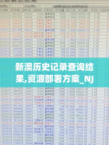 新澳歷史記錄查詢結果,資源部署方案_NJJ10.963優雅版