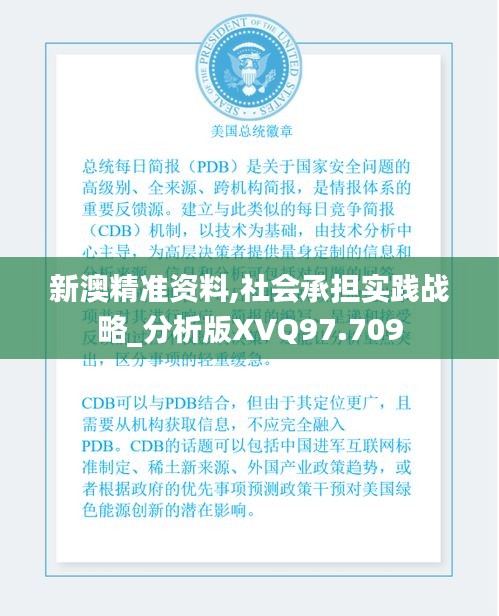 新澳精準資料,社會承擔實踐戰略_分析版XVQ97.709