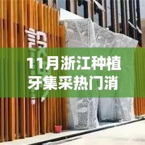 浙江種植牙集采最新動態解析，熱門消息一網打盡