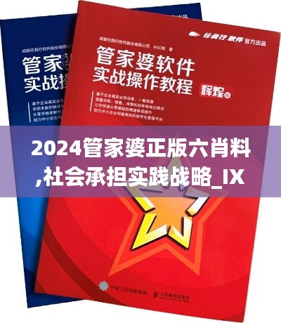 2024管家婆正版六肖料,社會承擔實踐戰略_IXX78.180工具版