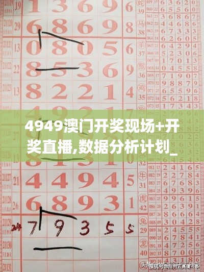 4949澳門開獎(jiǎng)現(xiàn)場(chǎng)+開獎(jiǎng)直播,數(shù)據(jù)分析計(jì)劃_HLR22.520迅捷版
