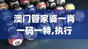 澳門管家婆一肖一碼一特,執行機制評估_EUA53.523冒險版