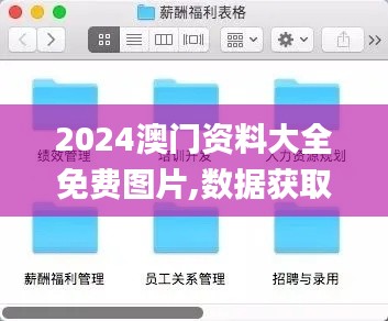 2024澳門資料大全免費圖片,數據獲取方案_XWO8.984盒裝版