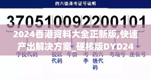 2024香港資料大全正新版,快速產出解決方案_硬核版DYD24.685