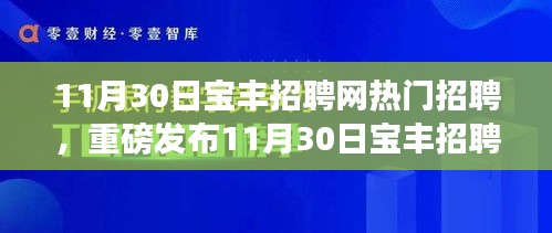 11月30日寶豐招聘網(wǎng)科技盛宴，引領(lǐng)未來招聘新紀元的熱門高科技產(chǎn)品