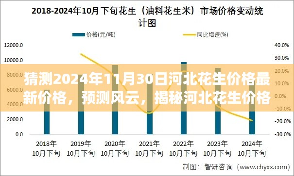 揭秘河北花生價格走勢，最新預測與未來趨勢分析（預測至2024年11月）