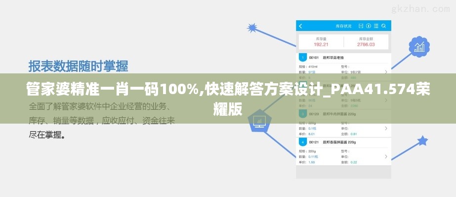 管家婆精準一肖一碼100%,快速解答方案設計_PAA41.574榮耀版