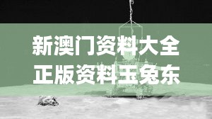 新澳門資料大全正版資料玉兔東升,高速響應計劃執行_ZFS46.9271440p