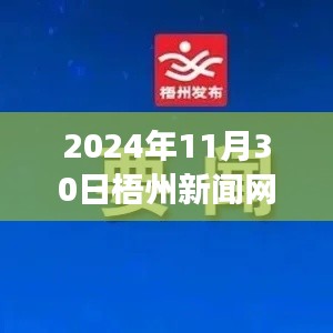 獨家解讀，梧州新聞網最新消息深度剖析與觀點探討（2024年11月30日）