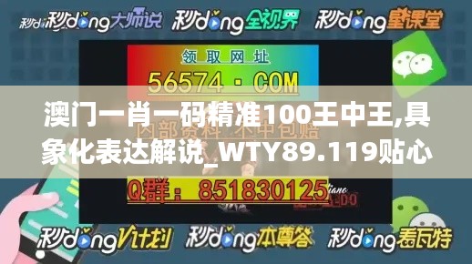 澳門一肖一碼精準(zhǔn)100王中王,具象化表達解說_WTY89.119貼心版