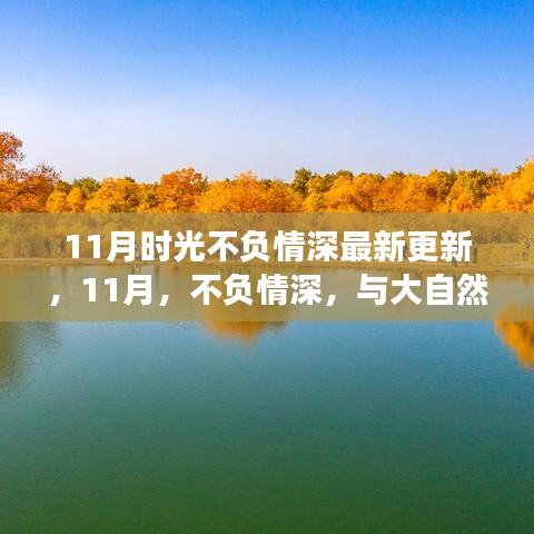 最新更新，不負情深，共舞時光——一場尋找內心平靜的11月旅行之旅