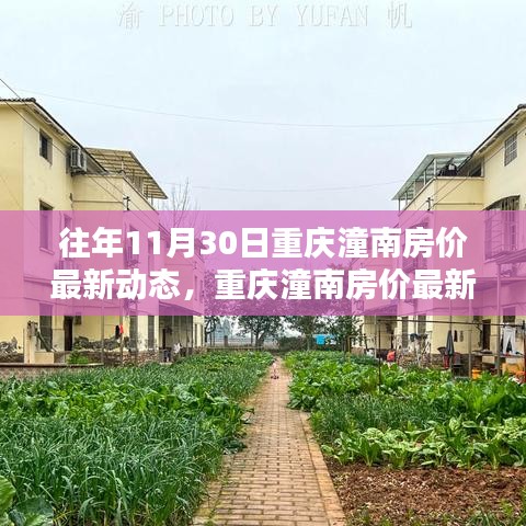 重慶潼南房價歷年11月30日動態解析與獲取指南