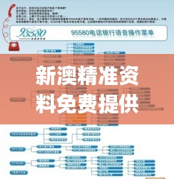 新澳精準資料免費提供網站,銀行決策資料_交互版RCE62.333