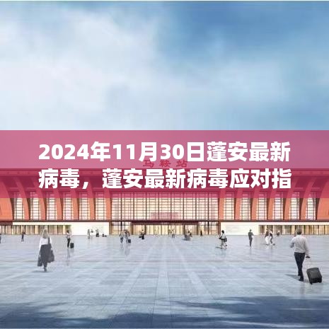 2024年12月 第1154頁