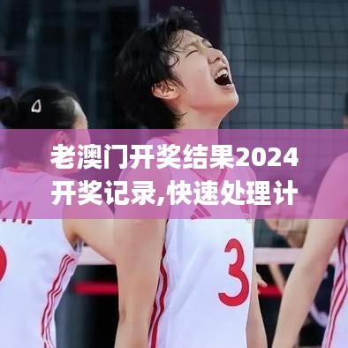 老澳門開獎結果2024開獎記錄,快速處理計劃_JTD83.331深度版