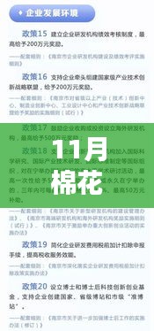 11月棉花補貼細則最新消息與深度解析，你所關心的全面匯總