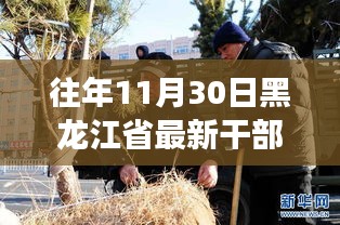 黑龍江省最新干部任命動態，深度解讀與觀點碰撞，歷年趨勢分析