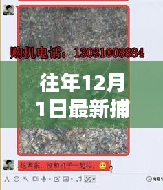最新捕獵野豬機詳解，適用于初學者與進階用戶的操作指南
